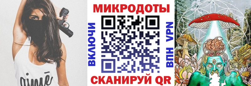 Псилоцибиновые грибы Psilocybe Краснодар