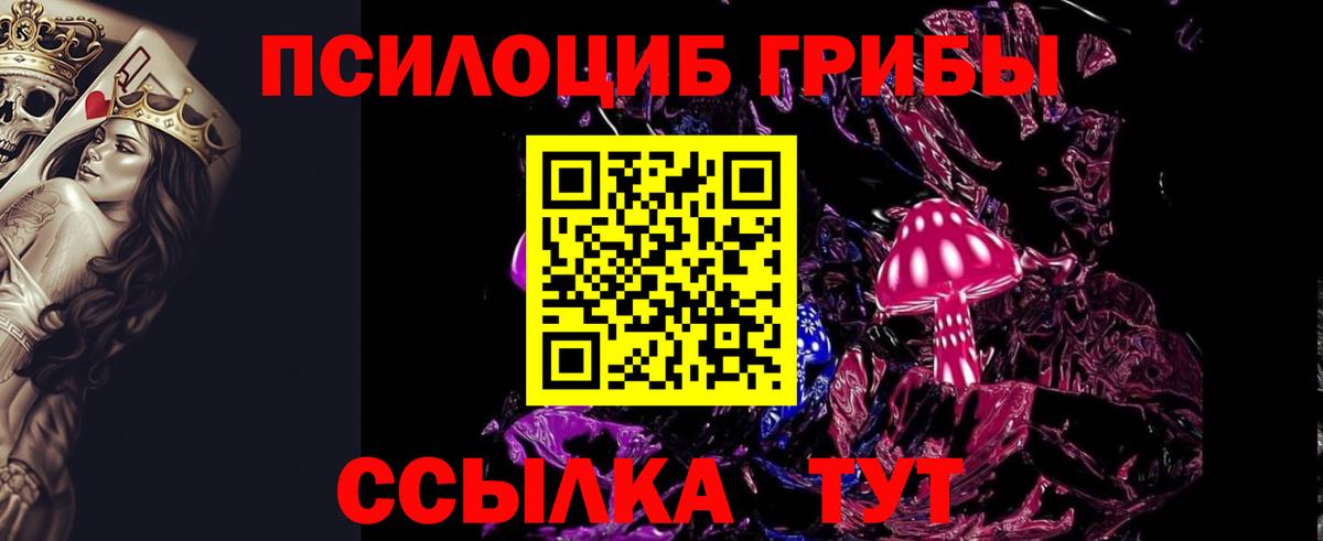 Галлюциногенные грибы MAGIC MUSHROOMS  Галлюциногенные грибы GOLDEN TEACHER  Краснодар  купить   Вход с VPN 