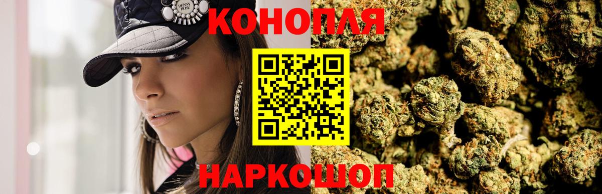 Бошки Шишки планчик Краснодар